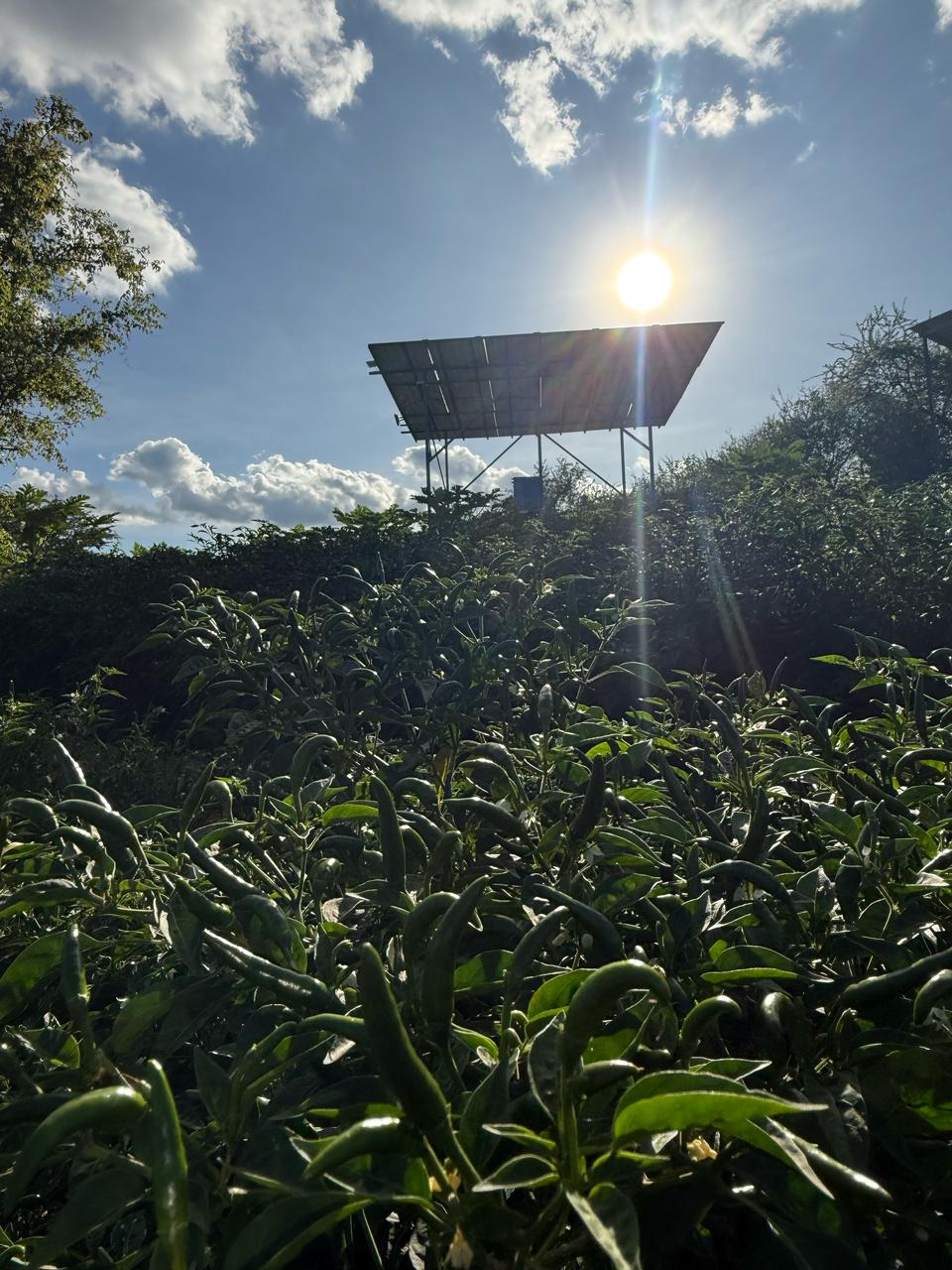 solar panel